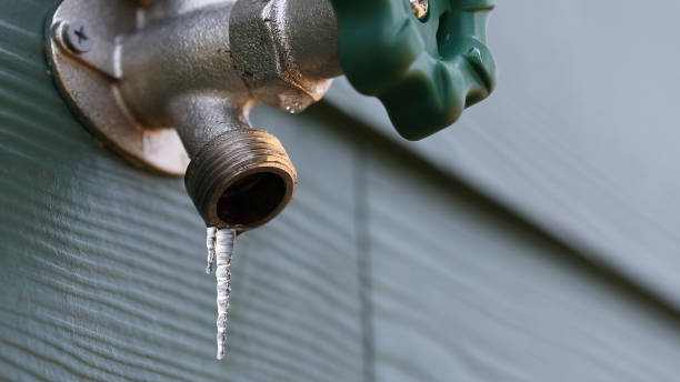 Best Plumbing Services Near Me  in White Cloud, MI